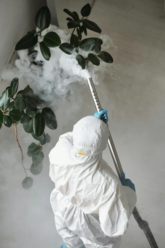 Trusted Pest Control - Fair Lawn Pest Control Pros | Fair Lawn, NJ | 862-420-0220